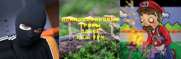 крисы Карталы