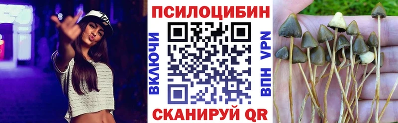 цена наркотик MEGA маркетплейс Галлюциногенные грибы ЛСД Карпинск