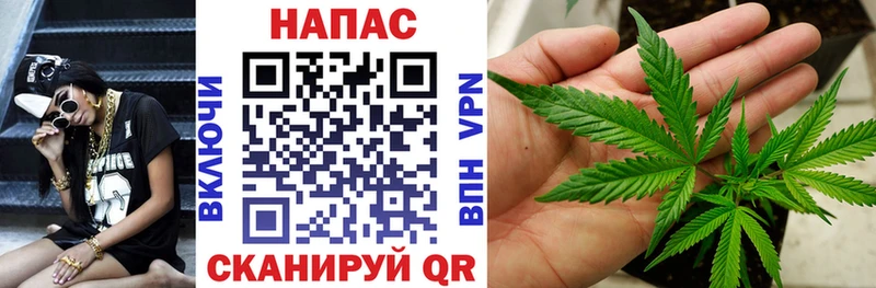 Бошки Шишки планчик  Карпинск 